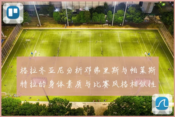 格拉齐亚尼分析邓弗里斯与帕莱斯特拉的身体素质与比赛风格相似性
