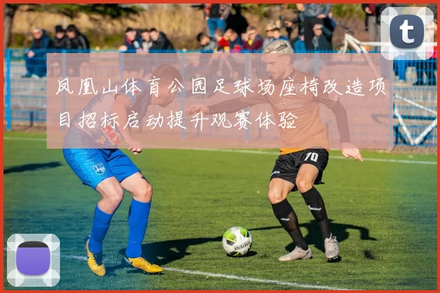 凤凰山体育公园足球场座椅改造项目招标启动提升观赛体验
