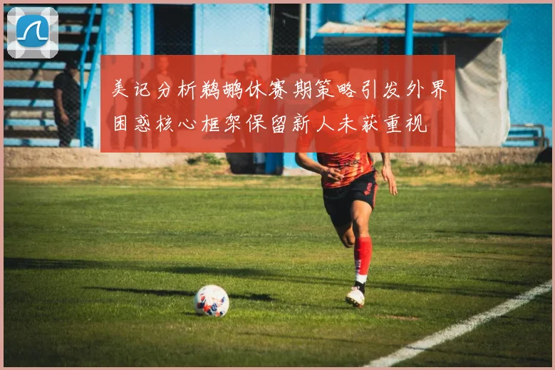 美记分析鹈鹕休赛期策略引发外界困惑核心框架保留新人未获重视