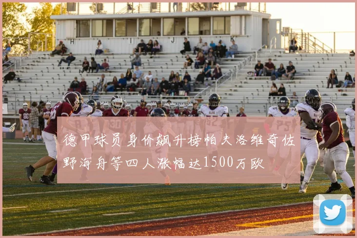 德甲球员身价飙升榜帕夫洛维奇佐野海舟等四人涨幅达1500万欧