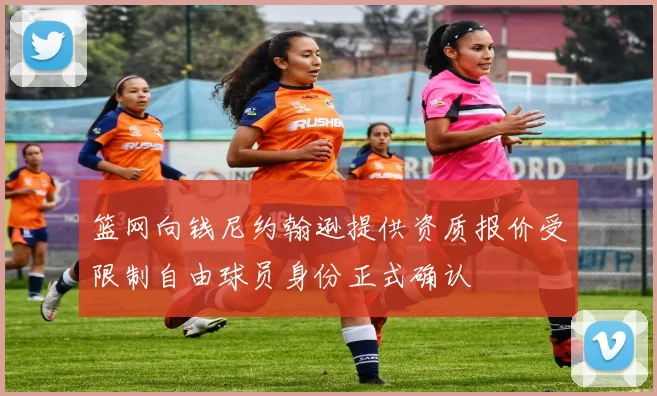 篮网向钱尼约翰逊提供资质报价受限制自由球员身份正式确认